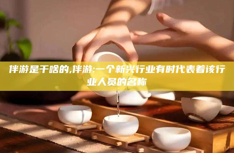林州伴游是干啥的,伴游:一个新兴行业有时代表着该行业人员的名称