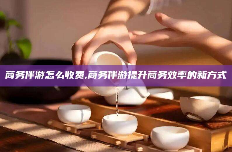 林州商务伴游怎么收费,商务伴游提升商务效率的新方式