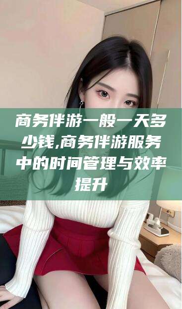 林州商务伴游一般一天多少钱,商务伴游服务中的时间管理与效率提升