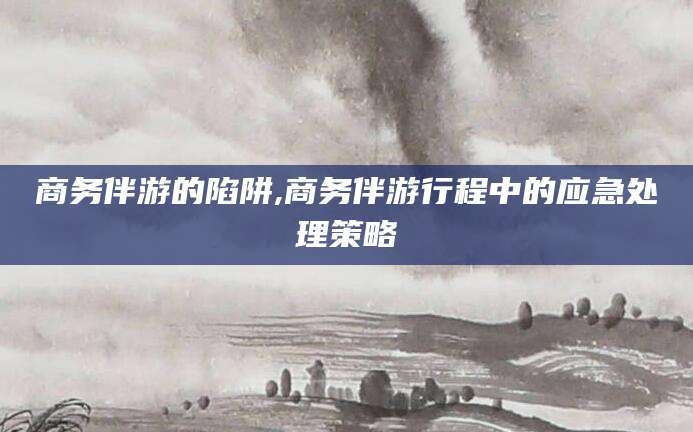 林州商务伴游的陷阱,商务伴游行程中的应急处理策略